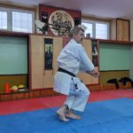 Lietuvos Shotokan Karatė Federacija