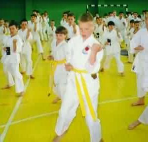 Lietuvos Shotokan Karatė Federacija