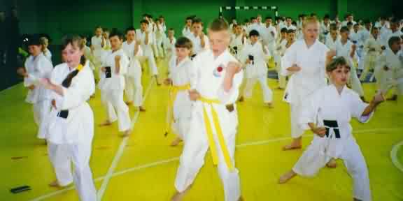 Lietuvos Shotokan Karatė Federacija