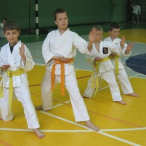 Lietuvos Shotokan Karatė Federacija