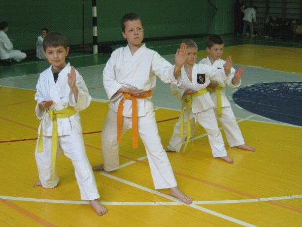 Lietuvos Shotokan Karatė Federacija