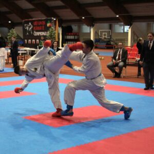 Lietuvos Shotokan Karatė Federacija